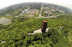 李勇向澎湃新聞（www.thepaper.cn）透露，重慶自貿(mào)區(qū)申報已有兩年時間，中央也批示重慶進行研究，中央相關部委和海關部門也都到重慶調(diào)研過，目前在等待中央批復。重慶自貿(mào)區(qū)申報范圍包括空港保稅區(qū)、鐵路保稅物流中心和寸灘保稅區(qū)三塊，覆蓋鐵、空、水三路，總面積120平方公里左右。重慶自貿(mào)區(qū)更多的是與“一帶一路”相結(jié)合。