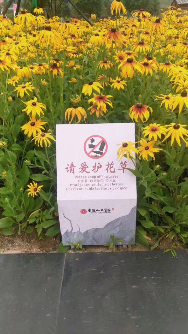 笨鳥項(xiàng)目落地丨武陵山大裂谷標(biāo)識(shí)系統(tǒng)工程